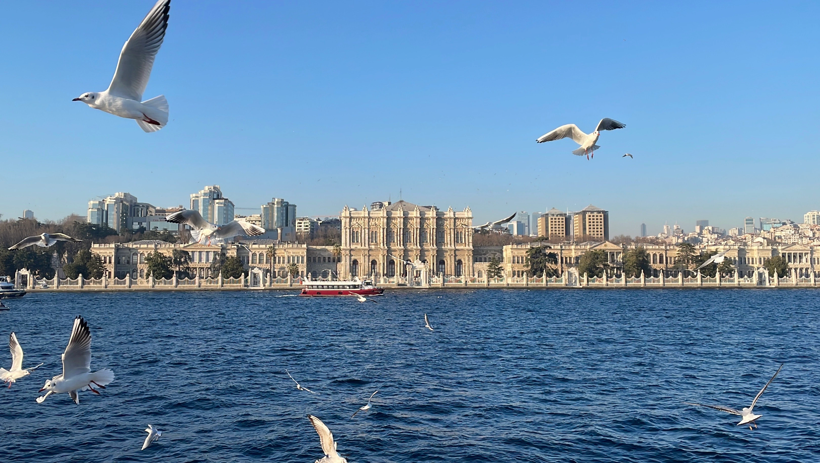 Istanbul - palatul pescărușilor și a libertății